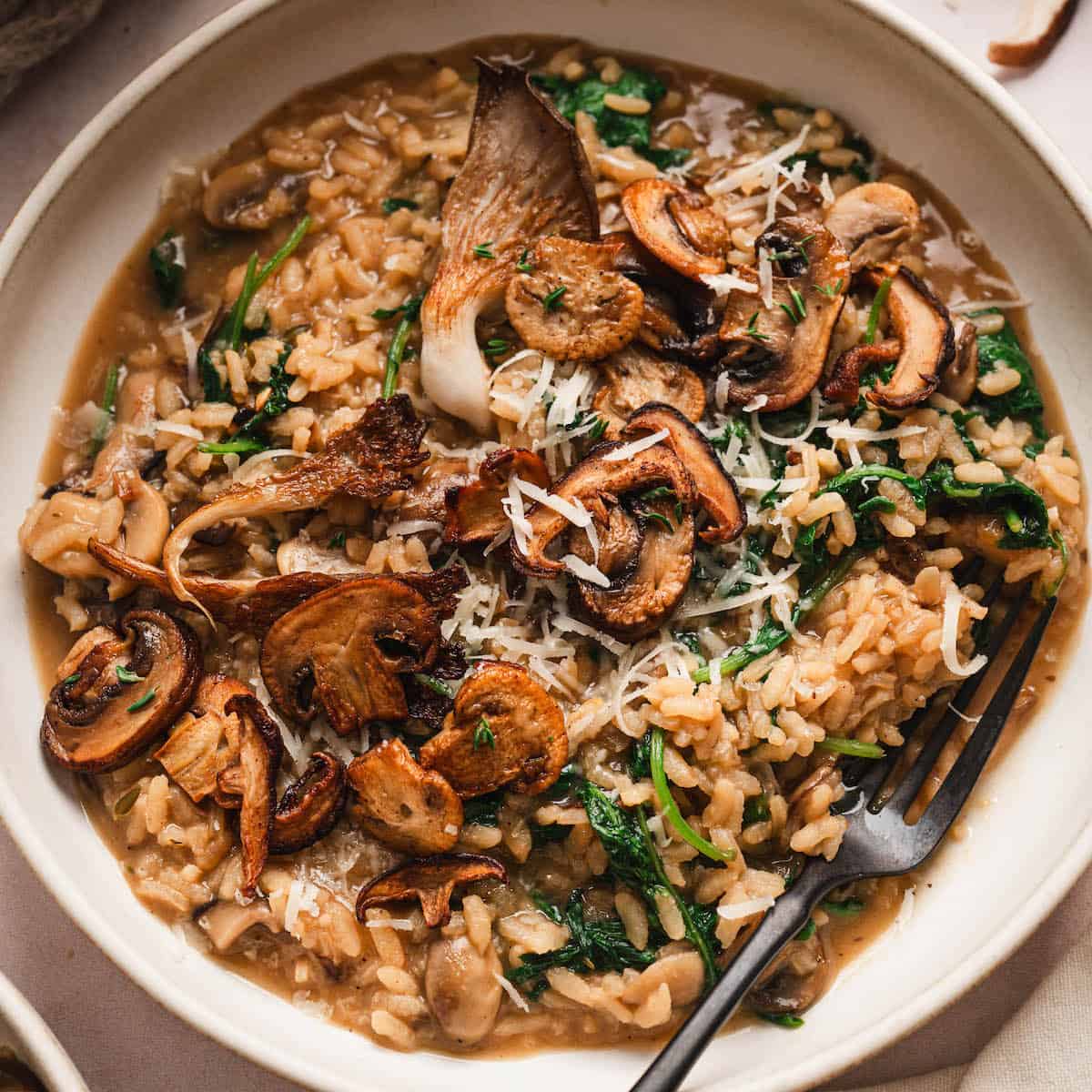 Wild Mushroom Risotto